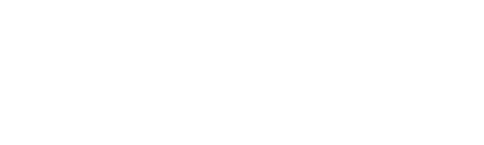 브니엘스쿨 로고